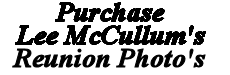 Link to Lee McCullum's web site